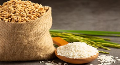 Saarah Exports